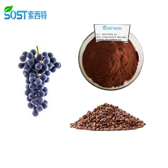 Chinese Supplier Grape Seed Extract Powder