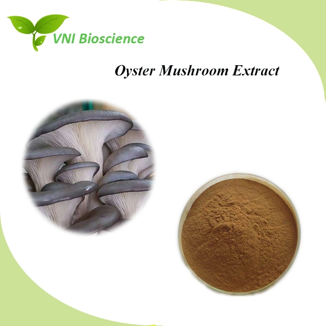 Kosher and Halal Certified 30% Polysaccharides Oyster Mushroom Extract