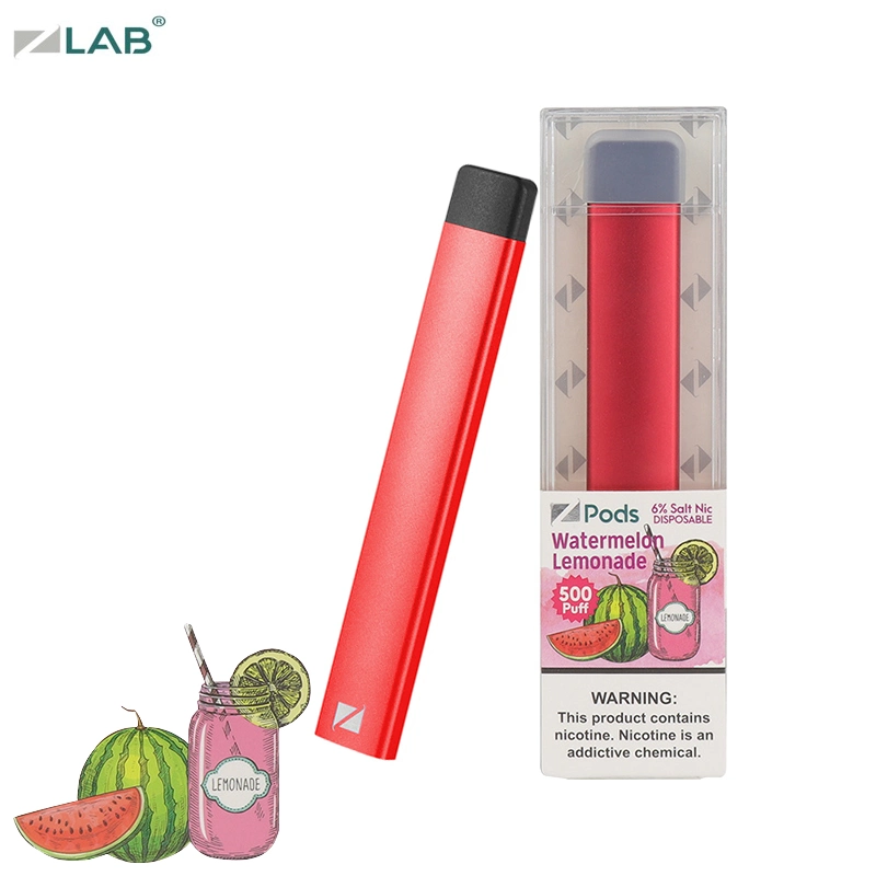 Pen Style Disposable Vape Atomizer Best Battery Watermelon Lemonade Flavor Mini Electronic Cigarette Disposable Vapes Cigarette