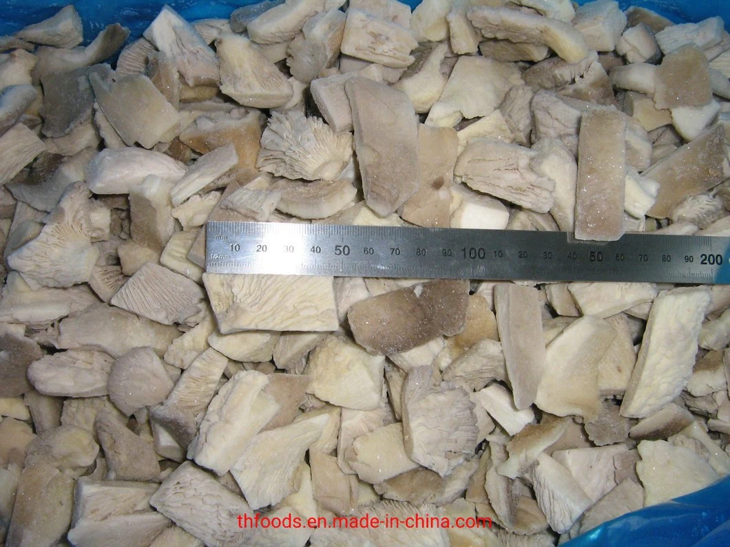 Frozen Edible Fungi Oyster Mushroom