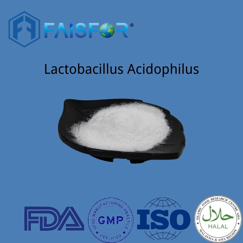 Pure High Quality Lactobacillus Acidophilus Powder for Health Supplement