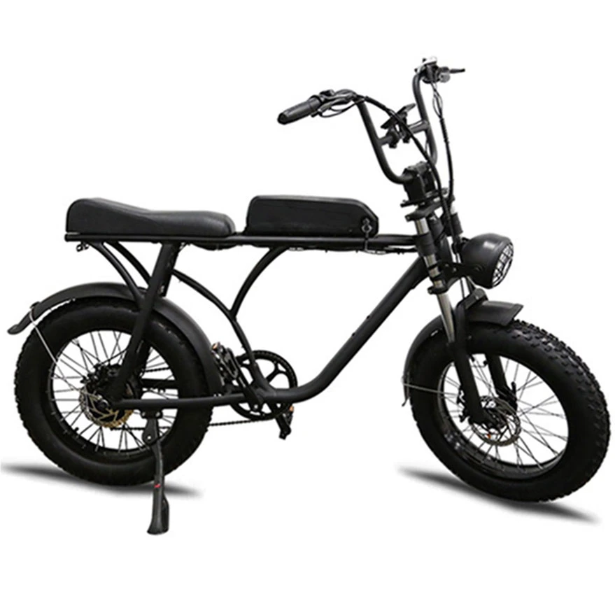 New MID Drive Electric Fat Bike Not Folding Bicycle Electric off Road Dirt Bike 750W 48V