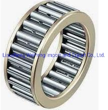 Needle Roller Bearing Na6900 4900 Series with Some Stock