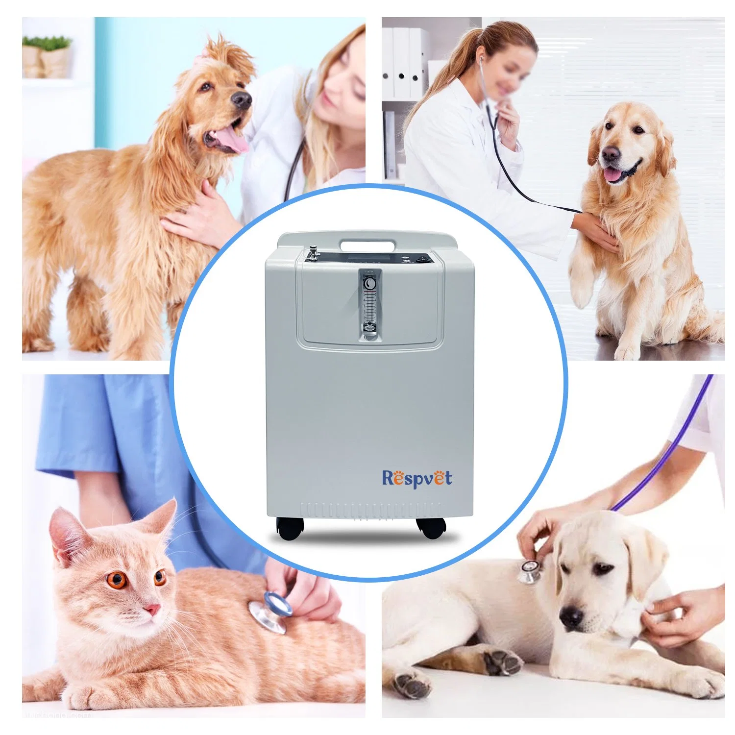 Pet Oxygen Threapy Anestesia Machine Veterinary Use Home Oxygen Concentrator