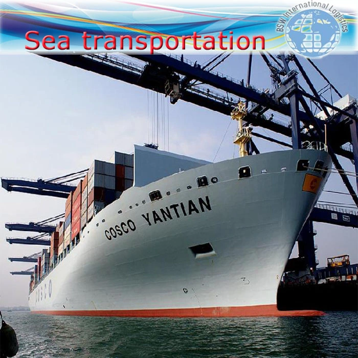 Professional Freight Forwarder Shipping Agent by Sea DDP Service From Shenzhen Guangzhou to Auckland New Zealand
