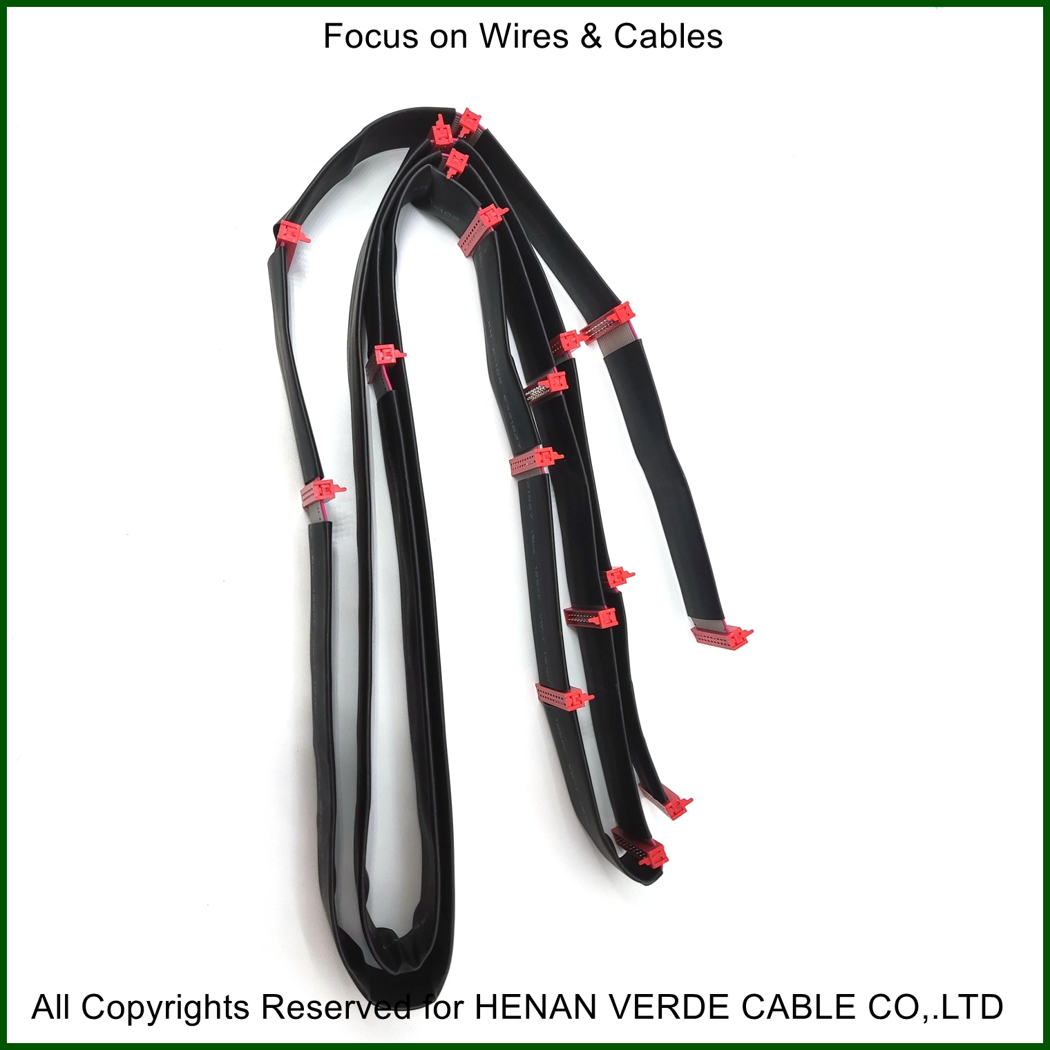 Factory Direct Customized 24 Pin Ribbon Cable with Red IDC Connectors