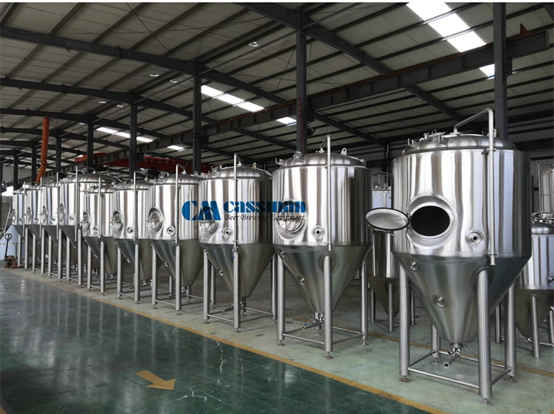 Cassman Ss3016 500L Beer Fermenters for Sale