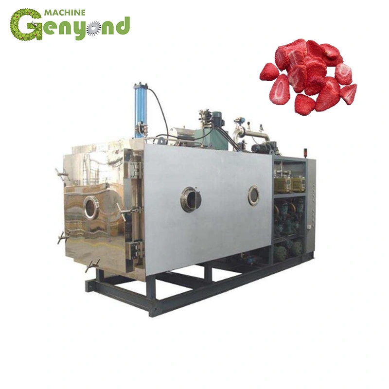 Industrial Freeze Dryer/Equipment/Machine