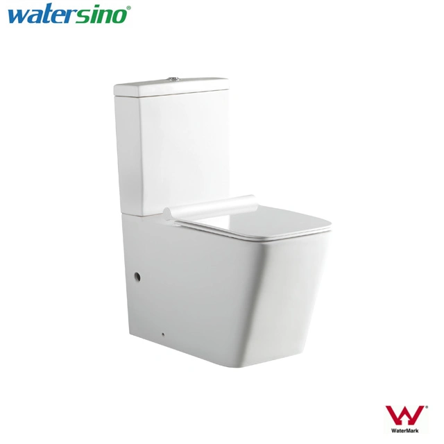 Watermark Dual Flushes Floor Standing Two Pieces Ceramic Toilet