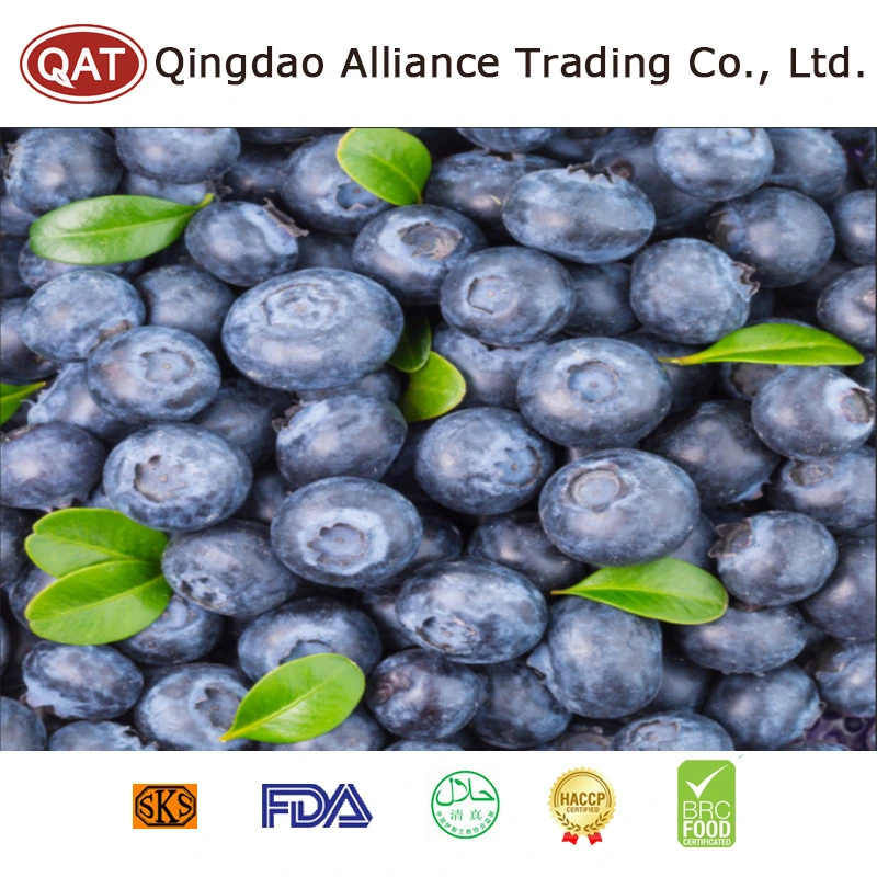 New Crop Kosher IQF Deep Frozen Fruits Mixed Berries in Packaging Bag Price