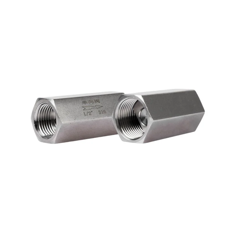 Stainless Steel Female Thread Check Valve High Pressure