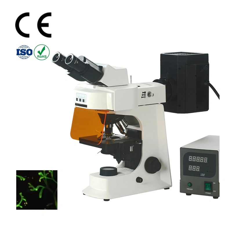 Smart-FL2 Binocular Biologic Digital Electronical Fluorescence Microscope for Lab