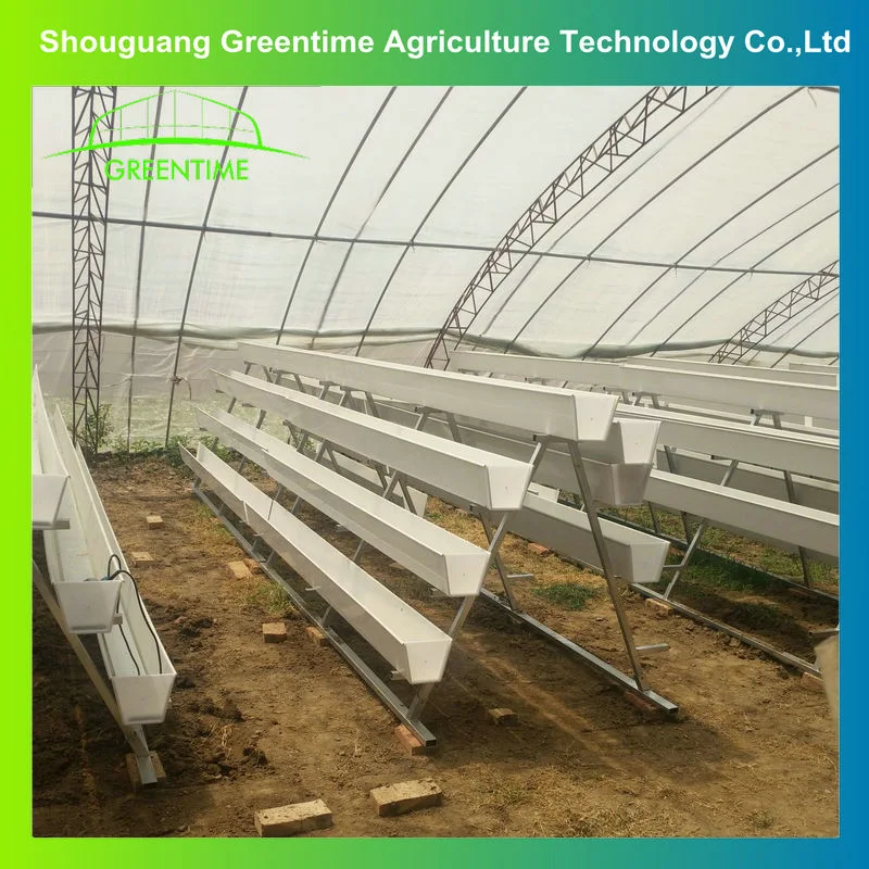 2021 Factory Price Hydroponic Growing Nft Strawberry System Indoor Greenhouse