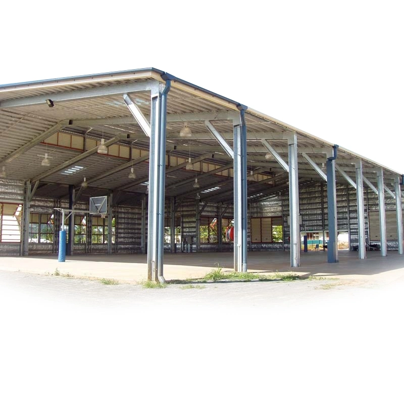 Steel Frame Structure Corrugated Sheet Building for Basketball Court