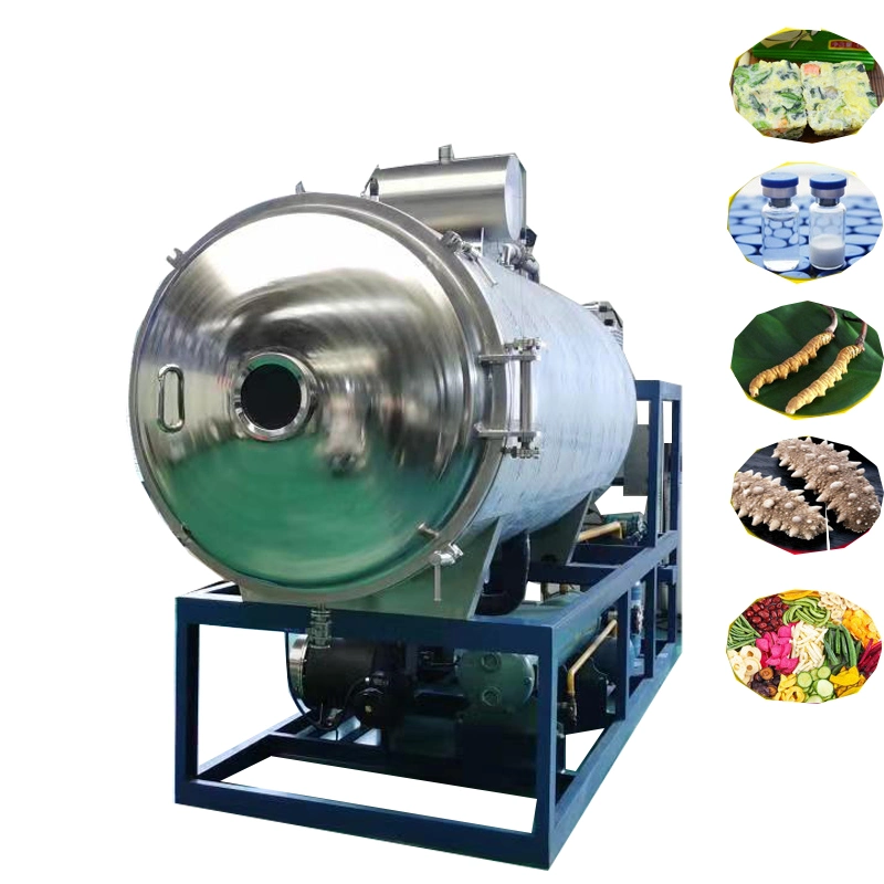 Lyophilized Powder Freeze Dryer Lyophilizer Lyophilization Machine Dog Treat Cat Food Fruit Vegetable Vacuum Freeze Drying Machine