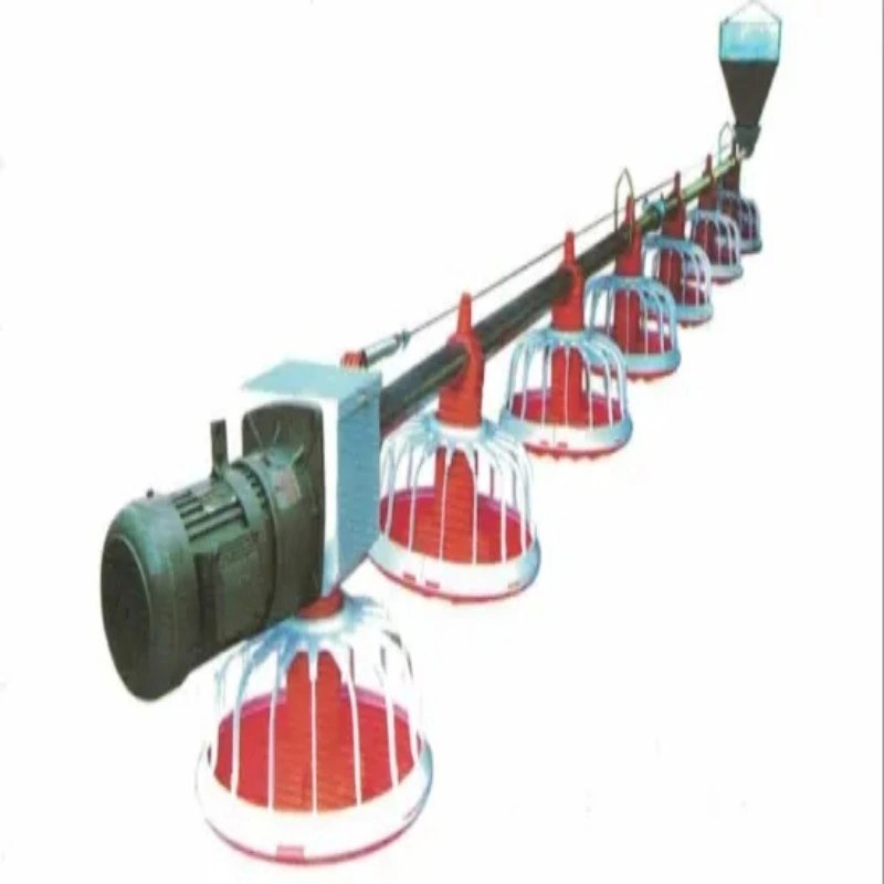 Livestock Poultry Farm Chain Feeding Line South African Auger Pan System