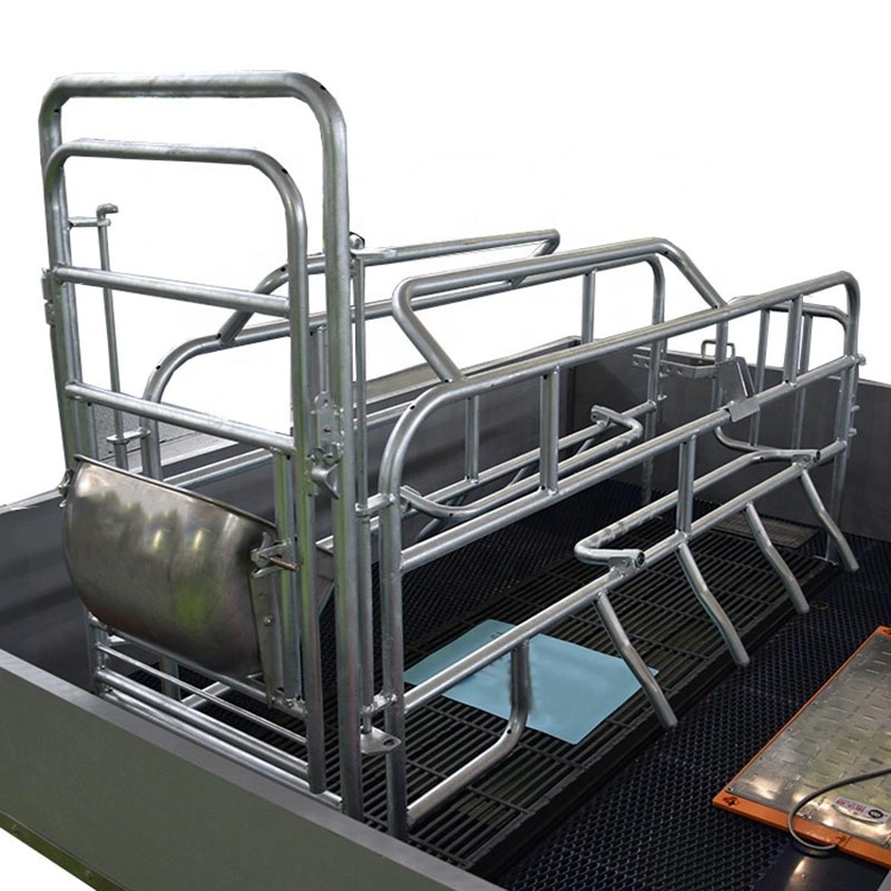 Pig Farming Equipment Farrowing Crate Price in Philippines