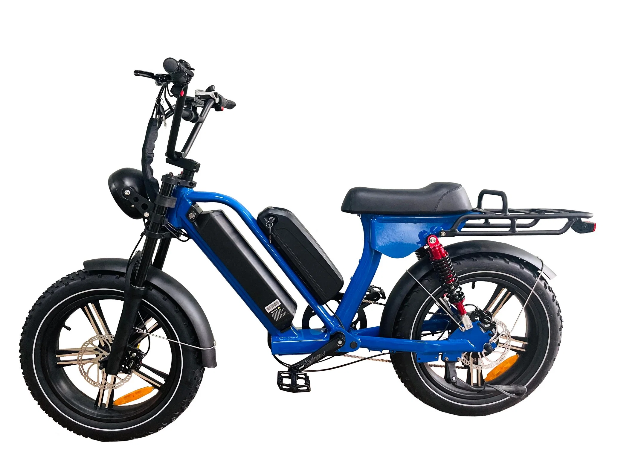 Queene Electric Bike 20 Inch Foldable 4.0 Fat Tire Ebike 48V 1000W Electric Bicycle 750W Mountain Power Assisted Electric Men's Bike