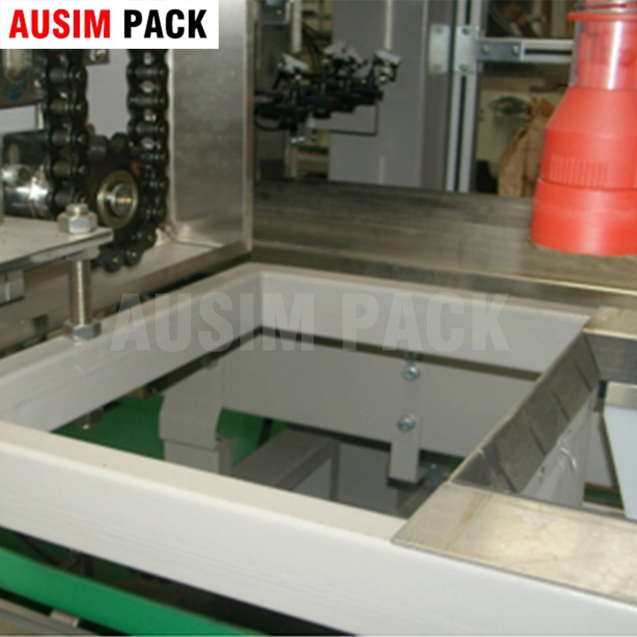 Snacks Packing Robotic Machinery/Horizontal Case Packer Solutions