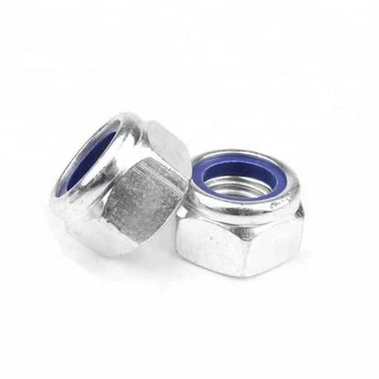 Factoryprice Stainless Steel A194 Gr 8/8M Heavy Hex Nut with S/S