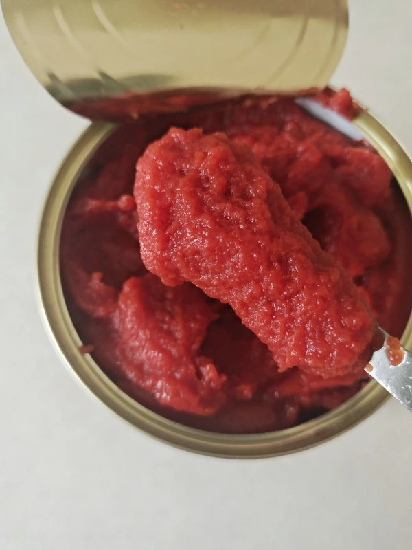 Tomatenpaste aus der Dose mit hochwertiger Großhandel/Lieferantsoße