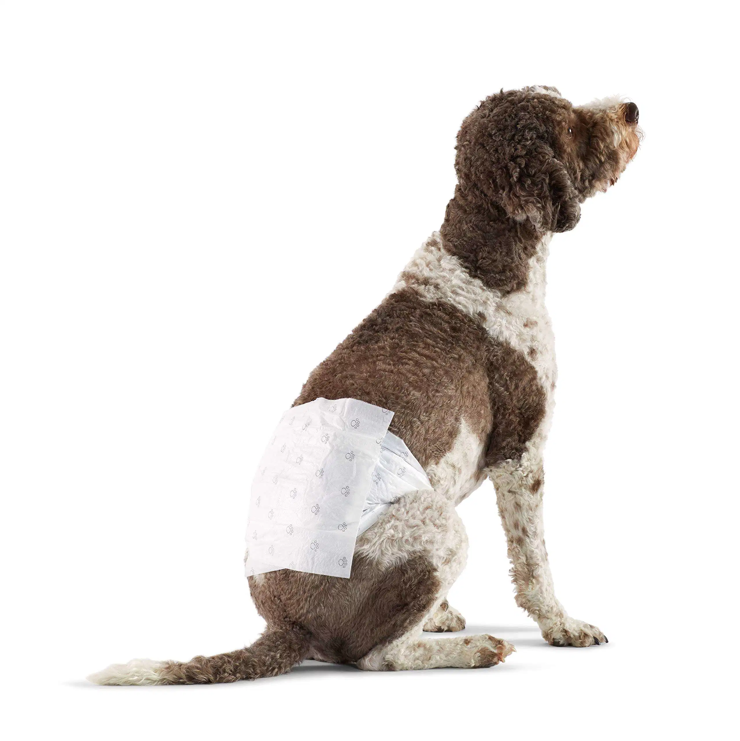 Friendly Training Pads Disposable Absorbable Pet Diapers Pads