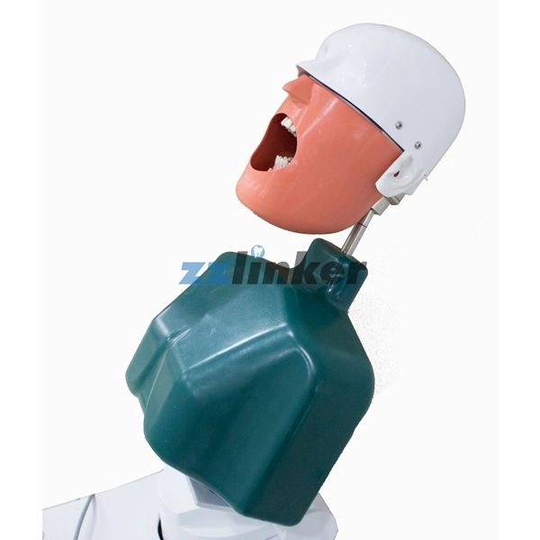 Lk-OS22 Dental Teaching Manikin Phantom Headmould with Body for Students