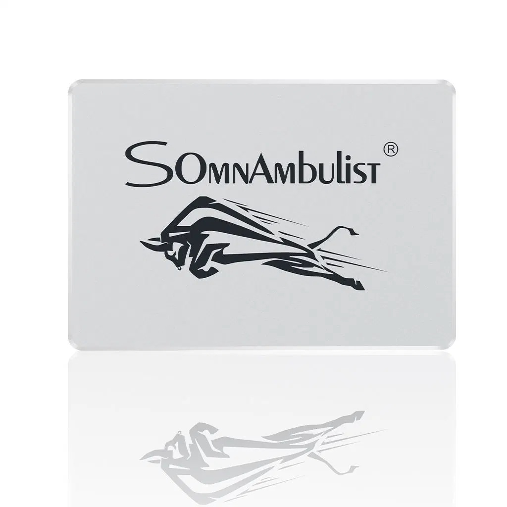 Somnambulist Gjs08 2.5" SATA 3 Internal Solid State Drive 120GB 60g 240GB 480GB 2tb 960GB SSD