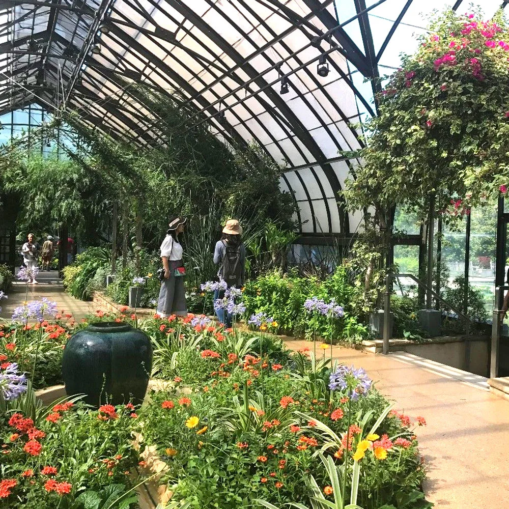 Conjunto de la galvanización en caliente rápido resistente al agua/bastidor de acero inoxidable po de efecto invernadero de cristal de la película para el jardín de flores de plántulas vegetal derramada