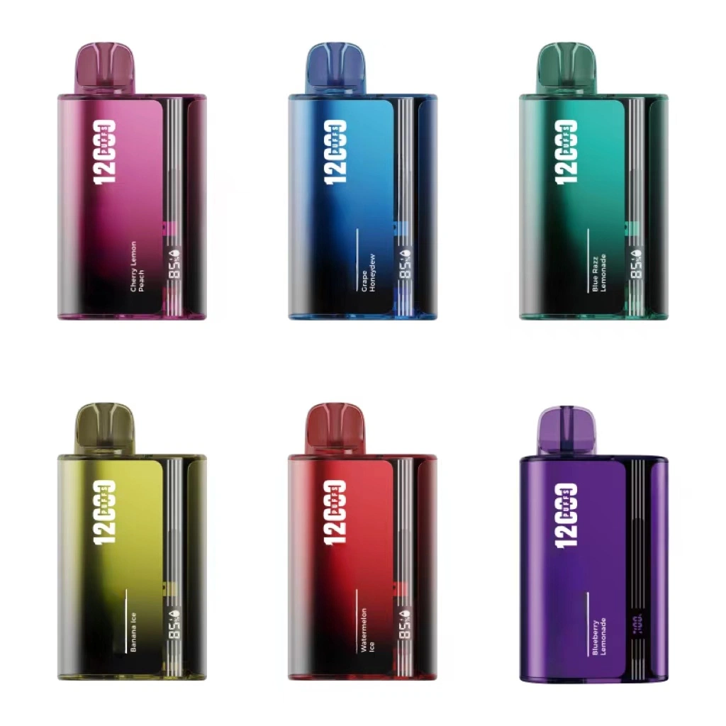 2023 Vape 12000 Puffs débit d'air réglable Vapes 20 ml évaporateur personnalisé Écran d'affichage jetable de l'antenne réseau stylo Vape Wholesale/Supplier Malaysia E Cigarette E CIG Shop