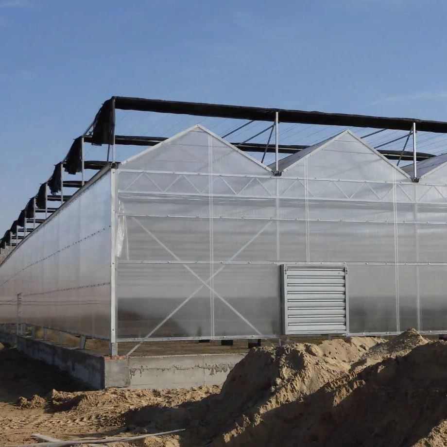 Flower/Fruit/Vegetables Growing Polycarbonate Sheet Greenhouse with Sunshade System