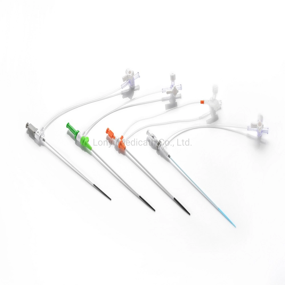 Disposable Femoral Medical Introducer Sheath Kit