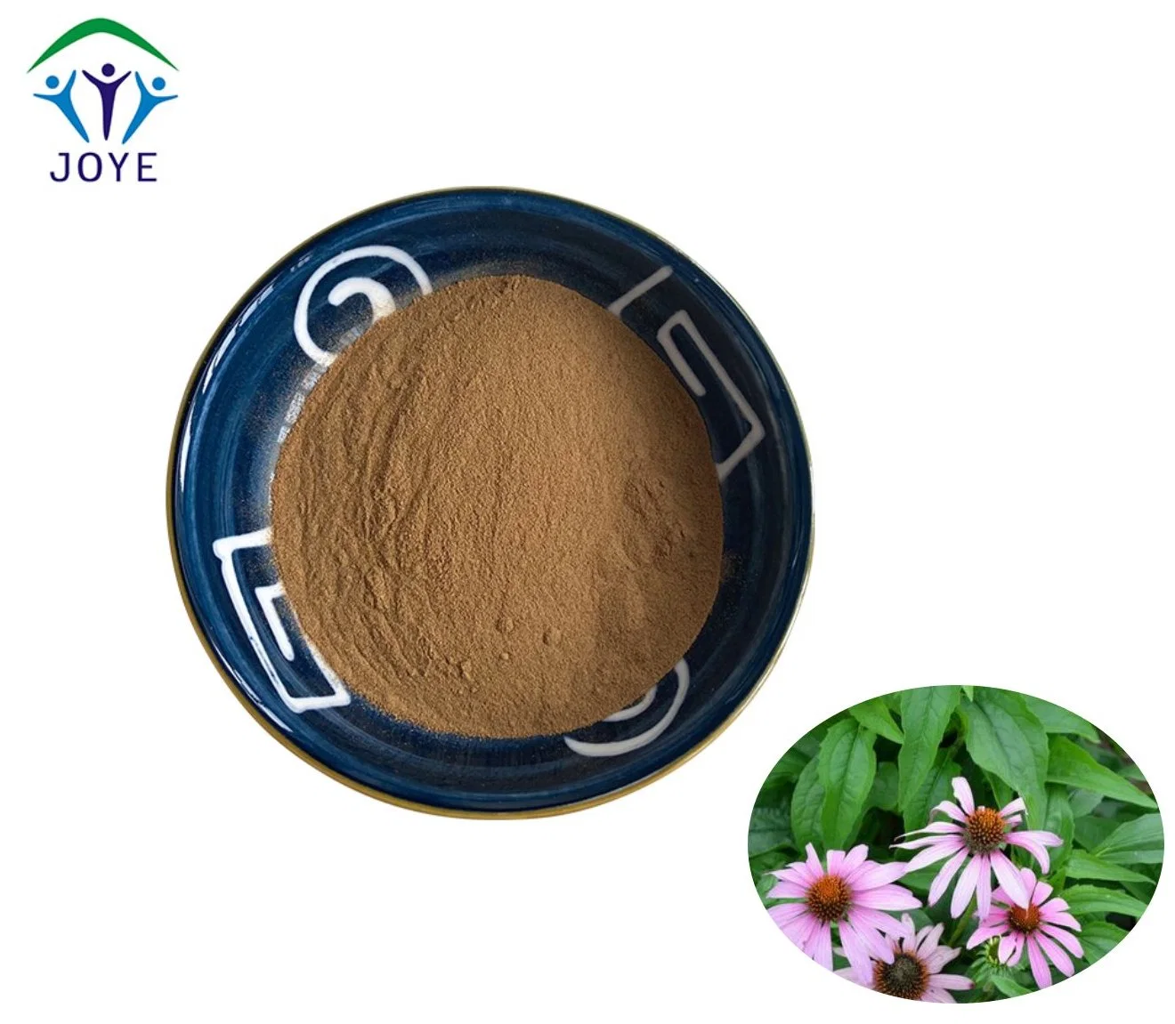 Supplément pour soins de santé polyphénols Echinacea Purpurea Extract Powder