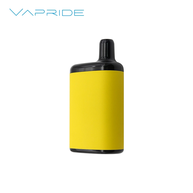 2023 Market New Trend 2000/4000/5000puffs Original Mesh Coil Disposable/Chargeable Vape Ecig