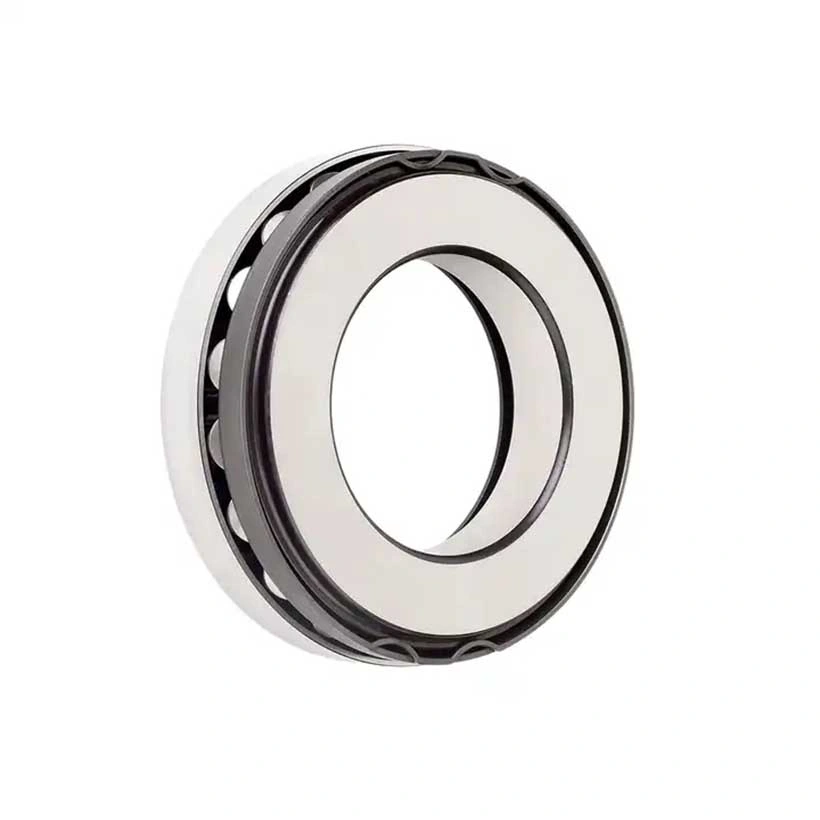 Factory Hot Sale Bearing Needle Roller Plastic Thrust Bearing