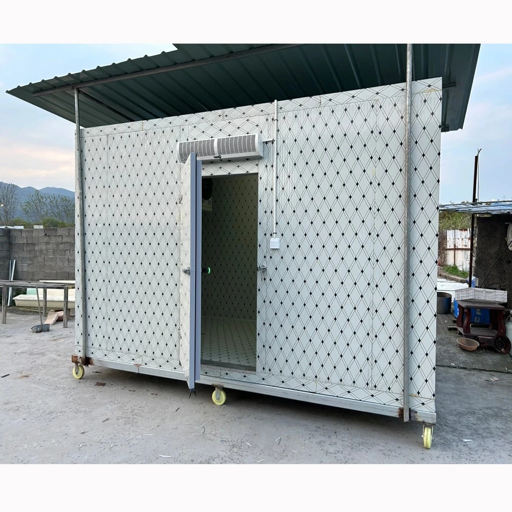 Blast Ice Block Customize Freezer Cold Room Equipment Storage Fish and Milk