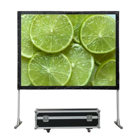 Professional Manufacturer Portable Projector Screen