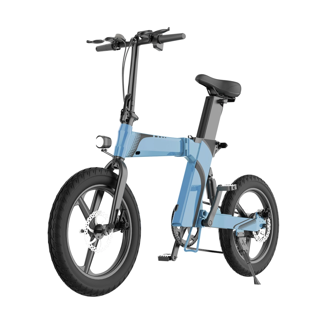 ODM/OEM for Women/Men 16ah Electric Bike Electric Folding Bike