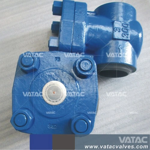 Cl900 Butt Welded Forged Swing Check Valve