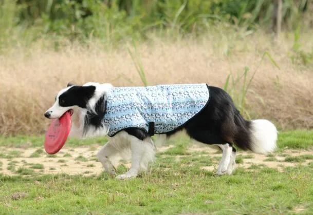 Designer de mode de haute qualité de l'hiver chien Vêtements Vêtements pour animaux de compagnie avec une haute qualité