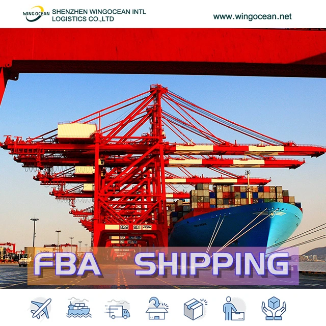 Cheapest Sea Freight Forwarder From China to Canada Sea Cargo Service