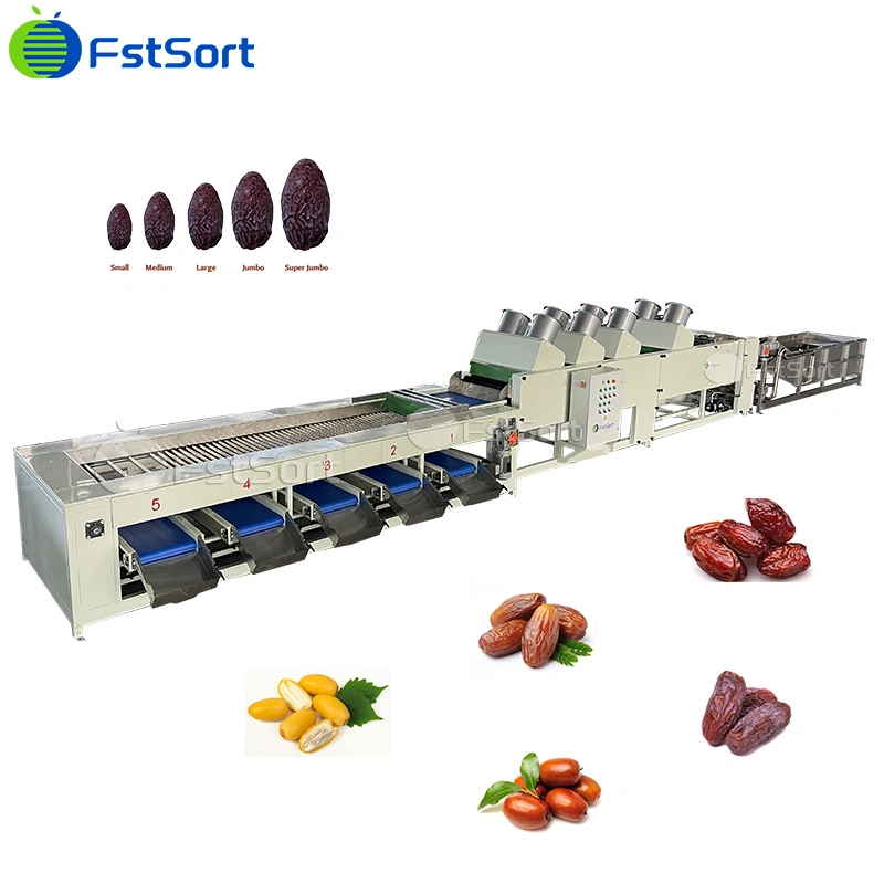 Fstsort Fruit Washing Drying Sorting Machine Fruit Processing Equipment Dates Grading Machine Dates Processing Machinery Dates Sorting Machine