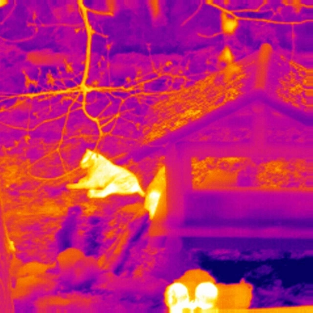 Dali Thermal Imager como carro e o prédio e câmera de Inspeção Elétrica