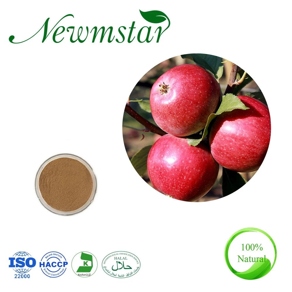Apple Fruit Extract Apple cider خل استخراج لفقدان الوزن