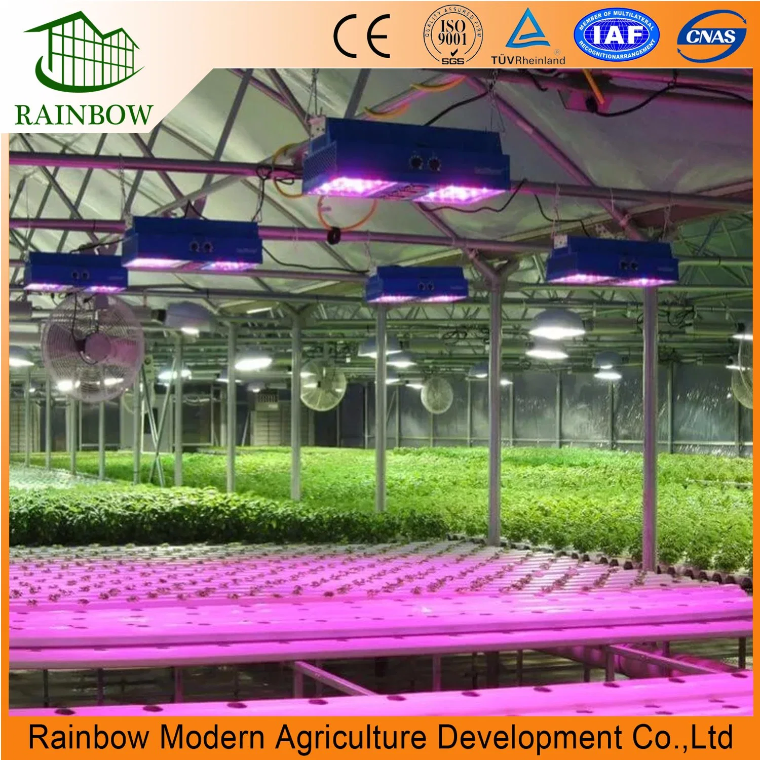 Professional After Sales Service 1000 Watt LED Grow Light