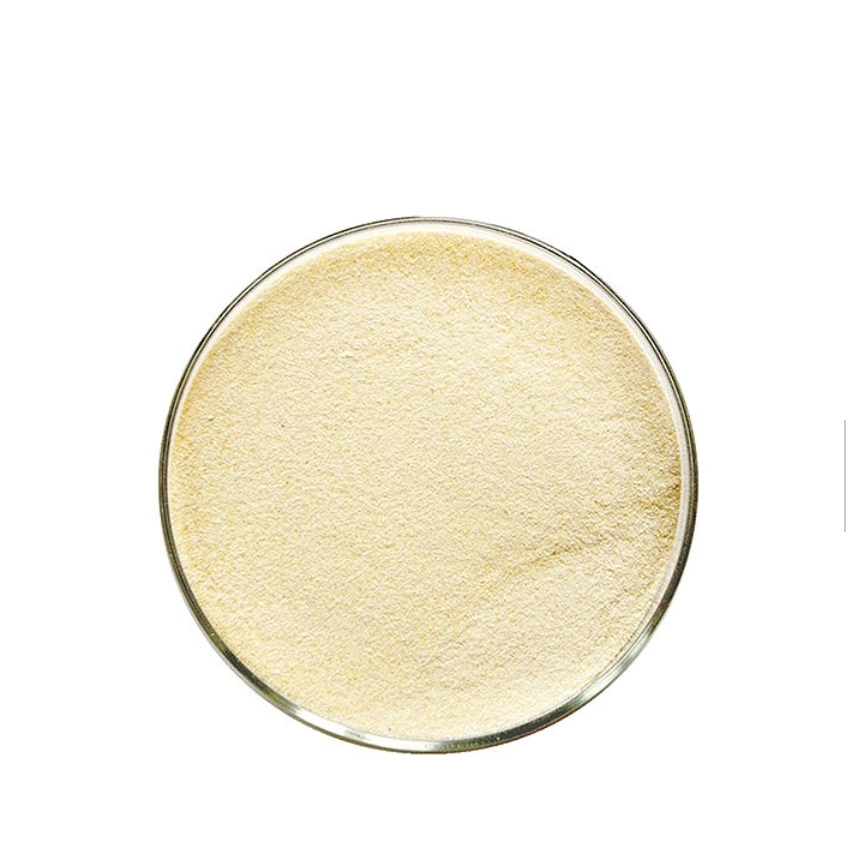 200mesh Best Price Xanthan Gum for Food Powder Suppliers CAS 11138-66-2