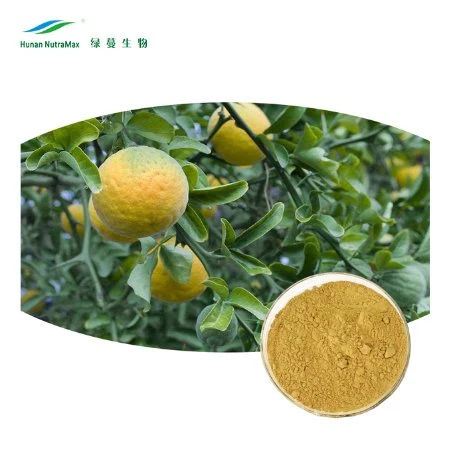 Approvisionnement en usine Hesperidin Orange fruit poudre Citrus Aurantin extrait in Stock