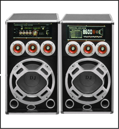 Double 10 Inch Karaoke with Bluetooth USB FM Active Speaker