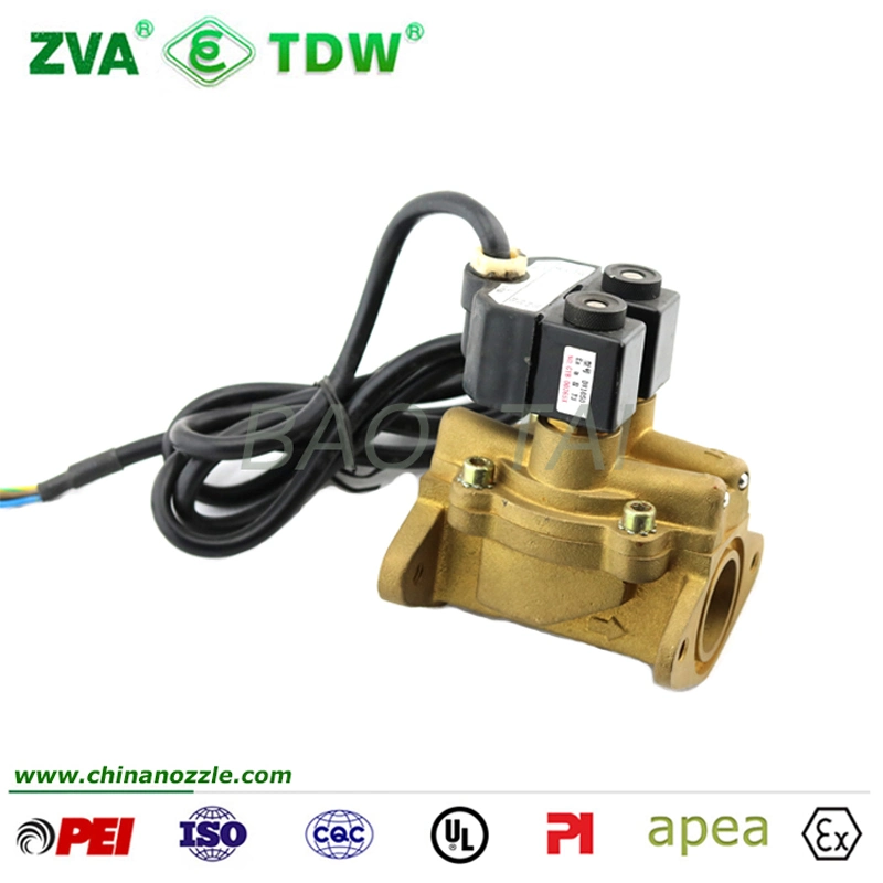 High quality/High cost performance Solenoid Check Valve 220V AC for Fuel Flowmeter Pump Dispenser (TDW-SV)