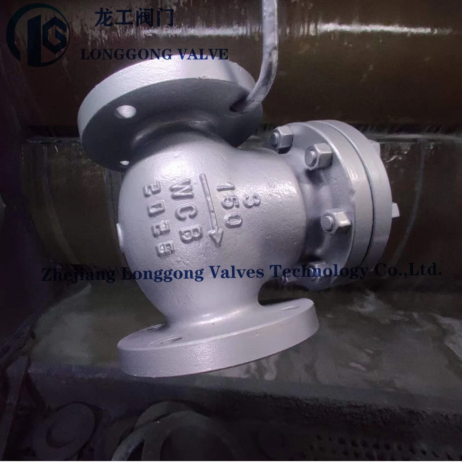 API 6D/BS1868/API594 Wcb/SS304/SS316 Cast Steel&Stainless Steel Flanged Swing Check Valve/Non Return Valve/Wafer Dual Plate/Single Plate Check Valve Nace Mr0175